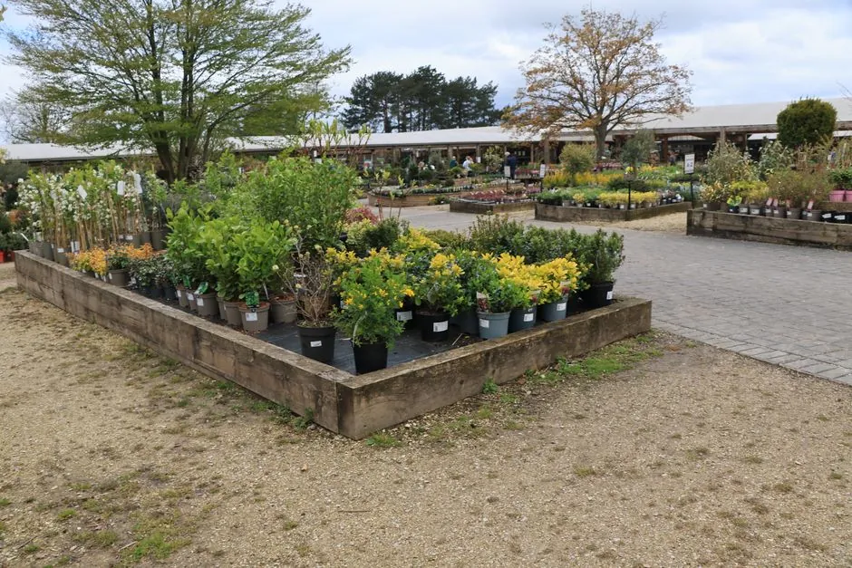 Jardin entretenu par l'equipe SK Paysagiste