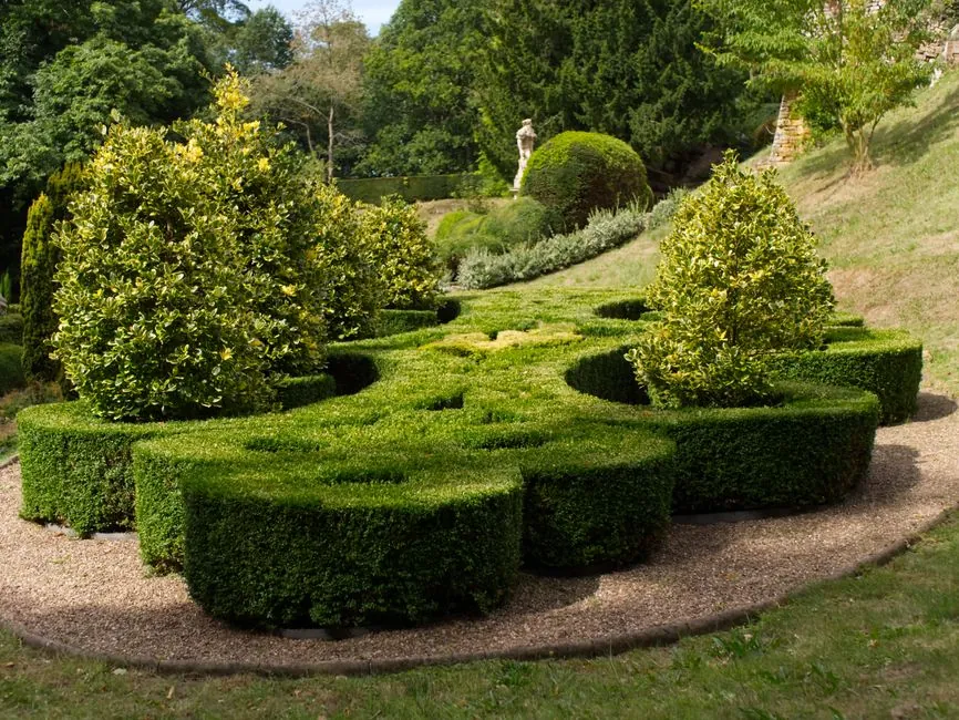 Jardin amenage en bord de foret de Fontainebleau